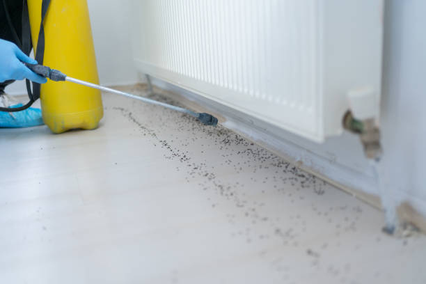 Best Pest Prevention Services  in Roland, IA